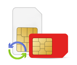 icon
